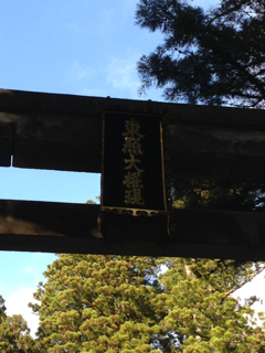 image-20130220053156.png
